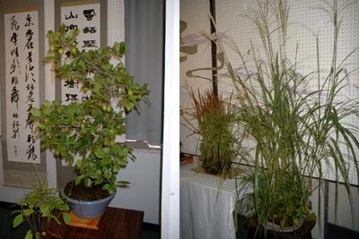 書と花の交流展