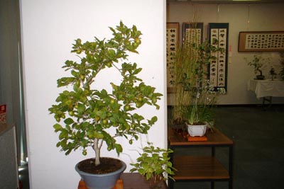 書と花の交流展