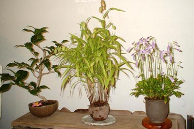 書と花の交流展