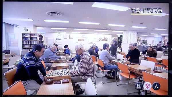 立川こはる落語会、NHK『囲碁フォーカス』放映