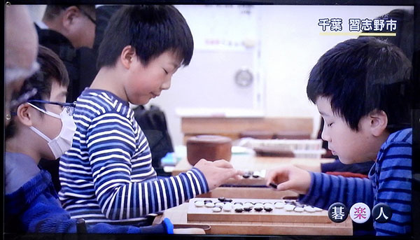 立川こはる落語会、NHK『囲碁フォーカス』放映